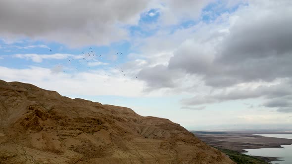 Flock of birds fly in rounds over desert mountains, Deadsea in the background, cloudy sky