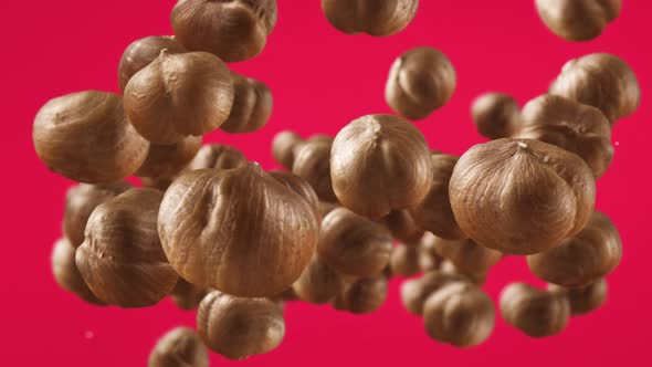 Flying of Hazelnuts in Fuchsia Background