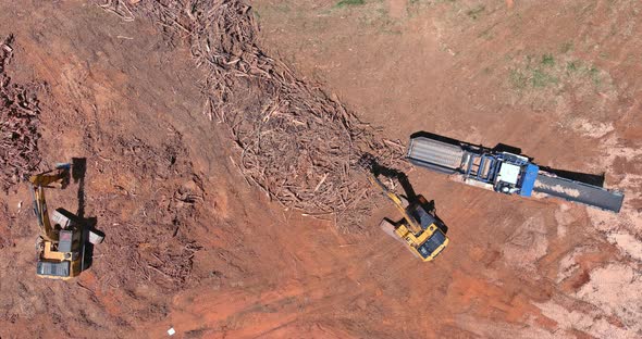 Construction Site From Roots of Trees are Chopped of Stationary Industrial Wood Shredder