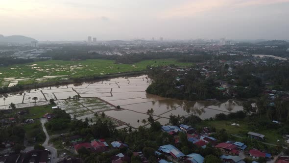 Fly over flood paddy field in cultivation season 