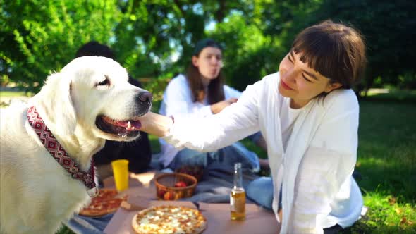 Company of Beautiful Young People and Dog Having an Outdoor Lunch