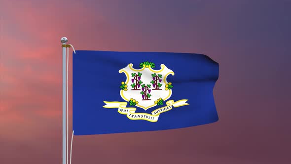 Connecticut Flag 4k