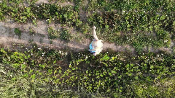 Aerial Drone View of Beautiful Young Blons Woman Dancing with Colored Smoke in Field Postitive