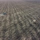 Farmer on a tractor plows the field. Top view from drone - VideoHive Item for Sale