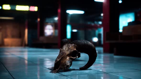 Old Ram Skull in Underground Subway alt