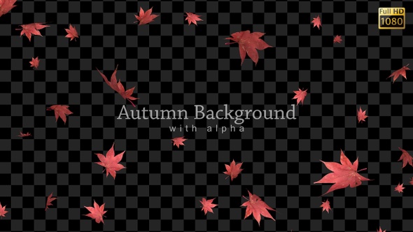 Autumn Background