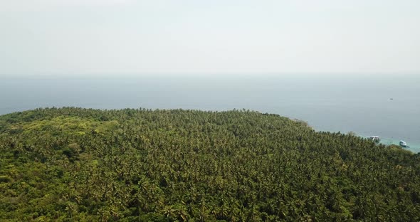 Green Palm Trees and Fields of Racha Island