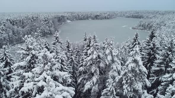 Snowy forest and lake. Top drone footage of frosty winter in Lithuania.