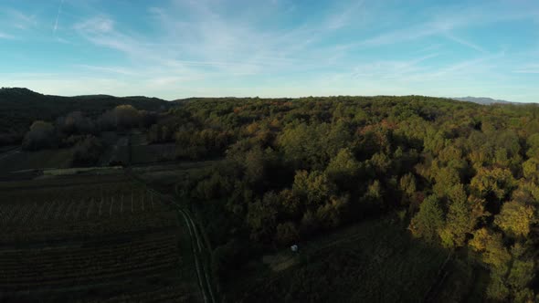 Aerial shot of agriculture fields and a road