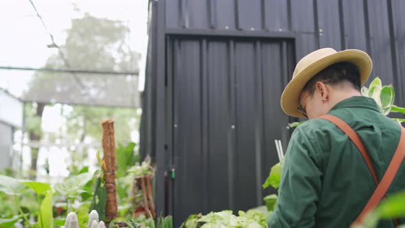 4K Asian man plant shop owner caring plants and flowers in greenhouse garden.