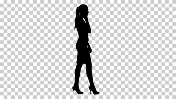 Silhouette Stylish businesswoman walking on meeting and