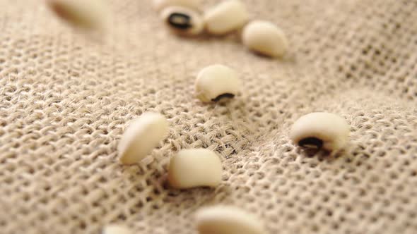 Black eyed peas falling on a rustic burlap. Dry uncooked legumes. Macro