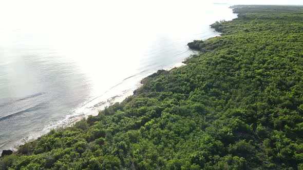 View From a Height of the Indian Ocean Near the Coast of Zanzibar Tanzania