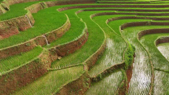 Aerial view drone flight over terraced rice fields, Mu Cang Chai, Yen Bai, Vietnam