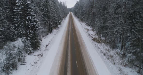 Winter Road in the Forest