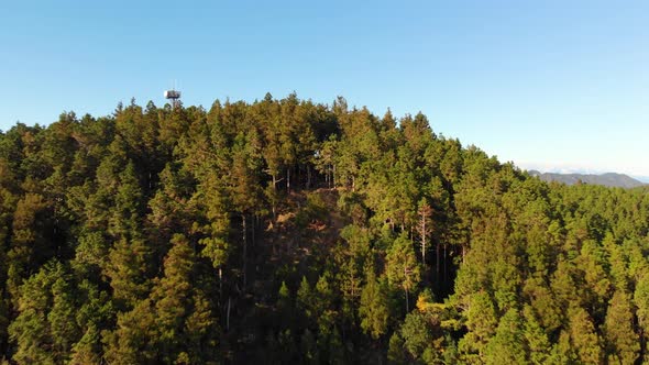 Aerial reveal, pull back to forested mountain landscape, Kumano Kodo Japan