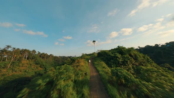 FPV Drone view over tropical nature rice fields