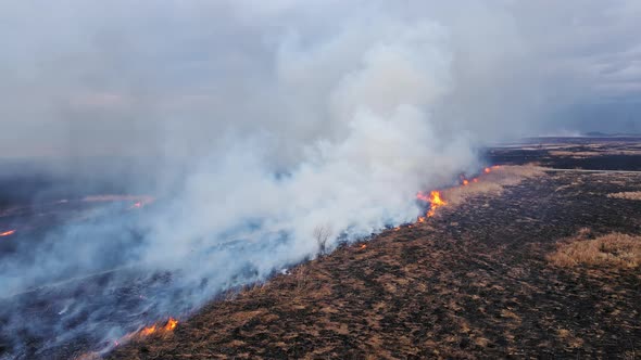 Aerial View of a Burning Dry Field