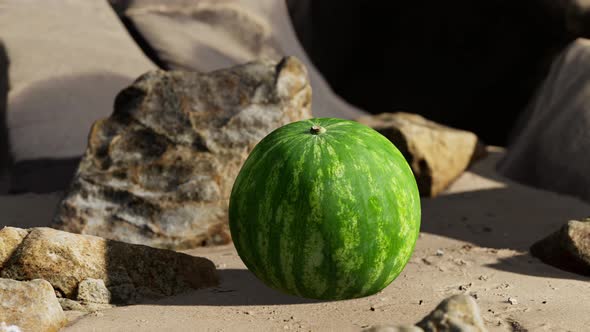 Fresh Watermelon on a Beautiful Sand Beach