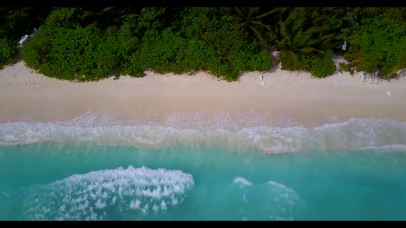Aerial drone shot seascape of beautiful shore beach wildlife by transparent lagoon and white sand ba