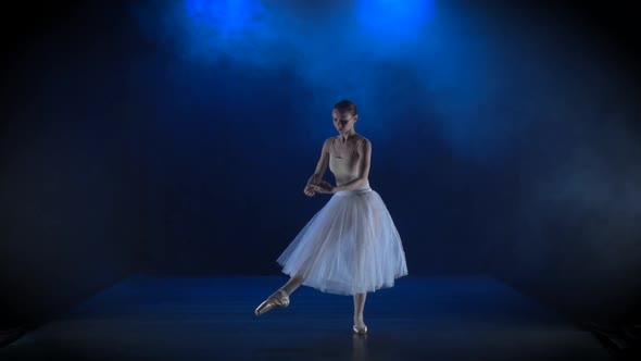 Delightful Ballerina in White Tutu Performing Classical Ballet. Slow Motion.