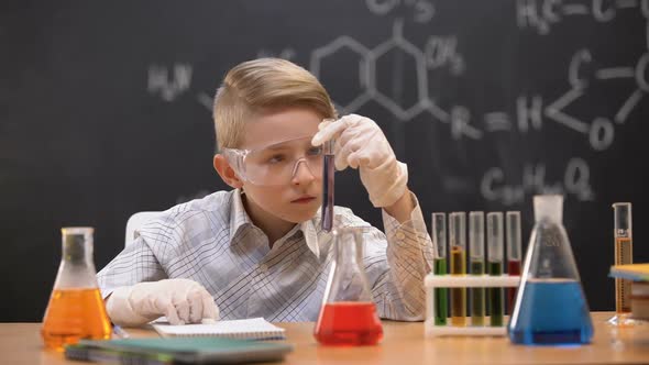 Schoolboy Looking at Chemical Substance in Test Tube, Chemistry Lesson, Hobby