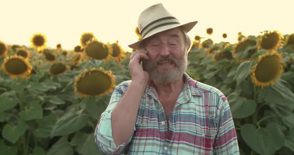 Portrait of Happy Senior Farmer Speaking on Phone in Sunflower Field at Sunset