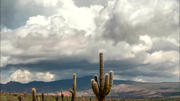 Los Cardones National Park, Salta, Argentina. Time Lapse with Big Cactus, Mountains and Clouds. FHD