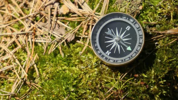 Traveller Compass on the Grass in the Forest