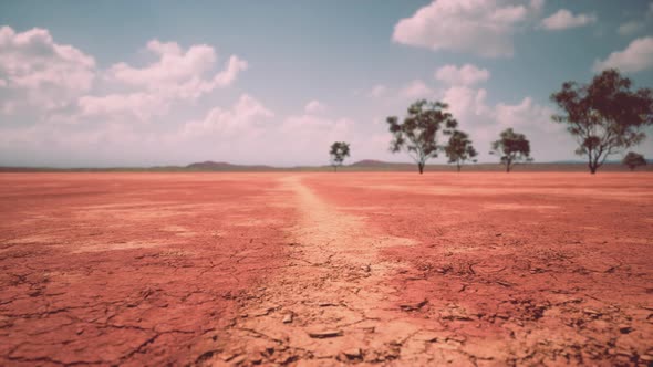 Badly Cracked Earth Under a Scorching Sun