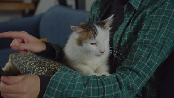 Lovely Relaxed One Eyed Kitty Kneading Owner Hand