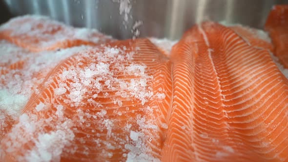 Closeup of industrial salting and preparation of salmon fish fillets - Salt falling down to fish in