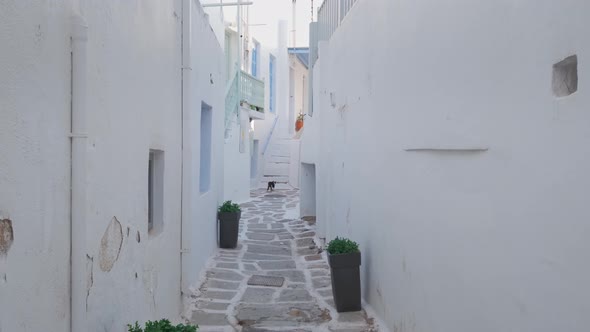 Walking in Naousa Street on Paros Island, Greece