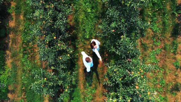 Couple farming in the green farm 4k