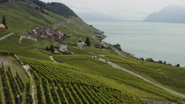 Aerial flying above vineyards towards little Winetown at Lavaux, Switzerland