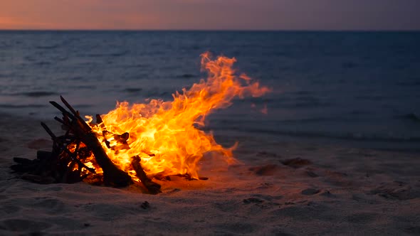 Blazing Campfire on Beach, Summer Evening. Bonfire in Nature As Background. Burning Wood