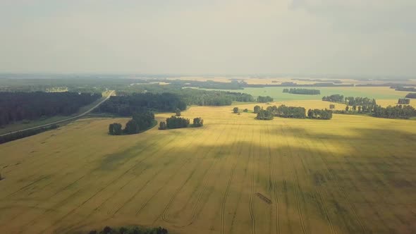 Aerial Flying Over Beautiful Fields