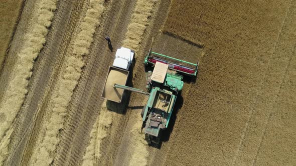Aerial Drone Footage. Harvester Spills Grain Into a Truck. Top View