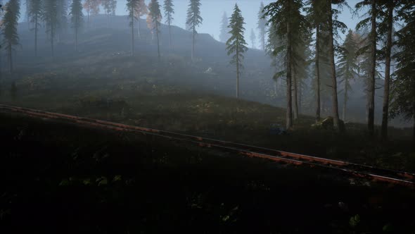 National Forest Recreation Area and the Fog with Railway