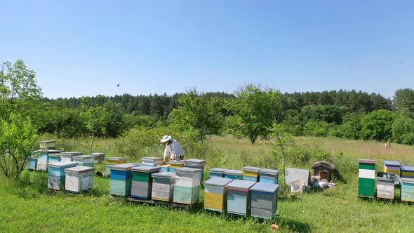 Beekeepr working on the beehive. Beekeeper working with bees and beehives on the apiary