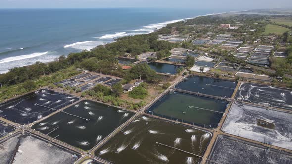 Aerial view, captivity or shrimp pond in southern yogyakarta on the coast of samas. Fresh seafood fi