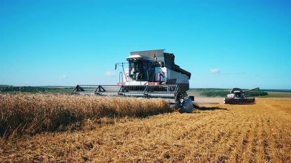 Harvester-thresher Is Reaping Wheat Off the Field