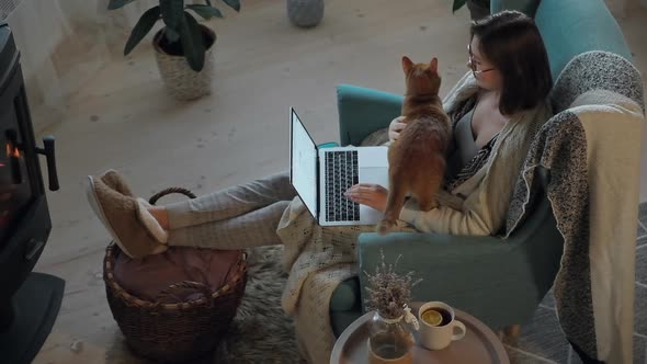 Young Woman Using Laptop Sitting By the Fireplace in the Armchair Stroking a Ginger Domestic Cat
