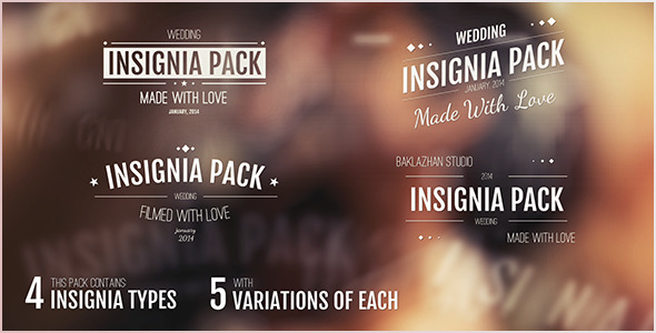 20in1 Intro Insignias Pack