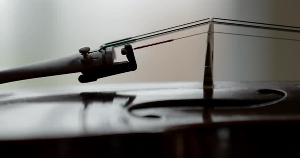 Viola or violin, close detail of bridge and strings