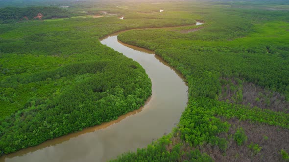 4K Aerial view of mangrove forest and beautiful river bends