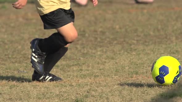 Boys ages 6 to 8 playing in a youth soccer league game.