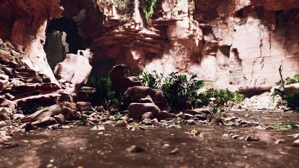 Large Fairy Rocky Cave with Green Plants