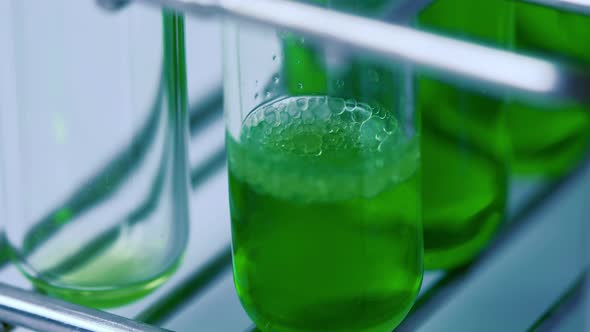 Scientist is preparation the green chemical solution in test tube in the laboratory experiment.