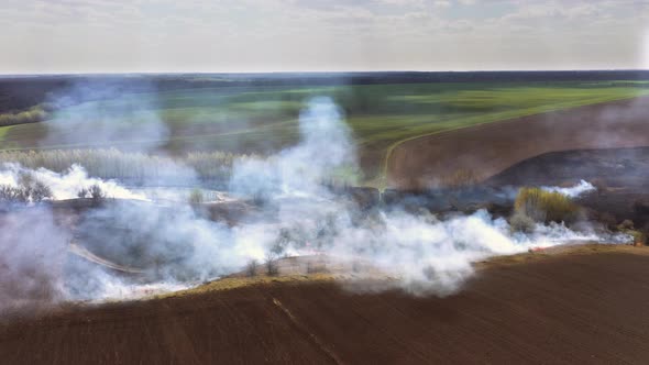 Fire On The Field